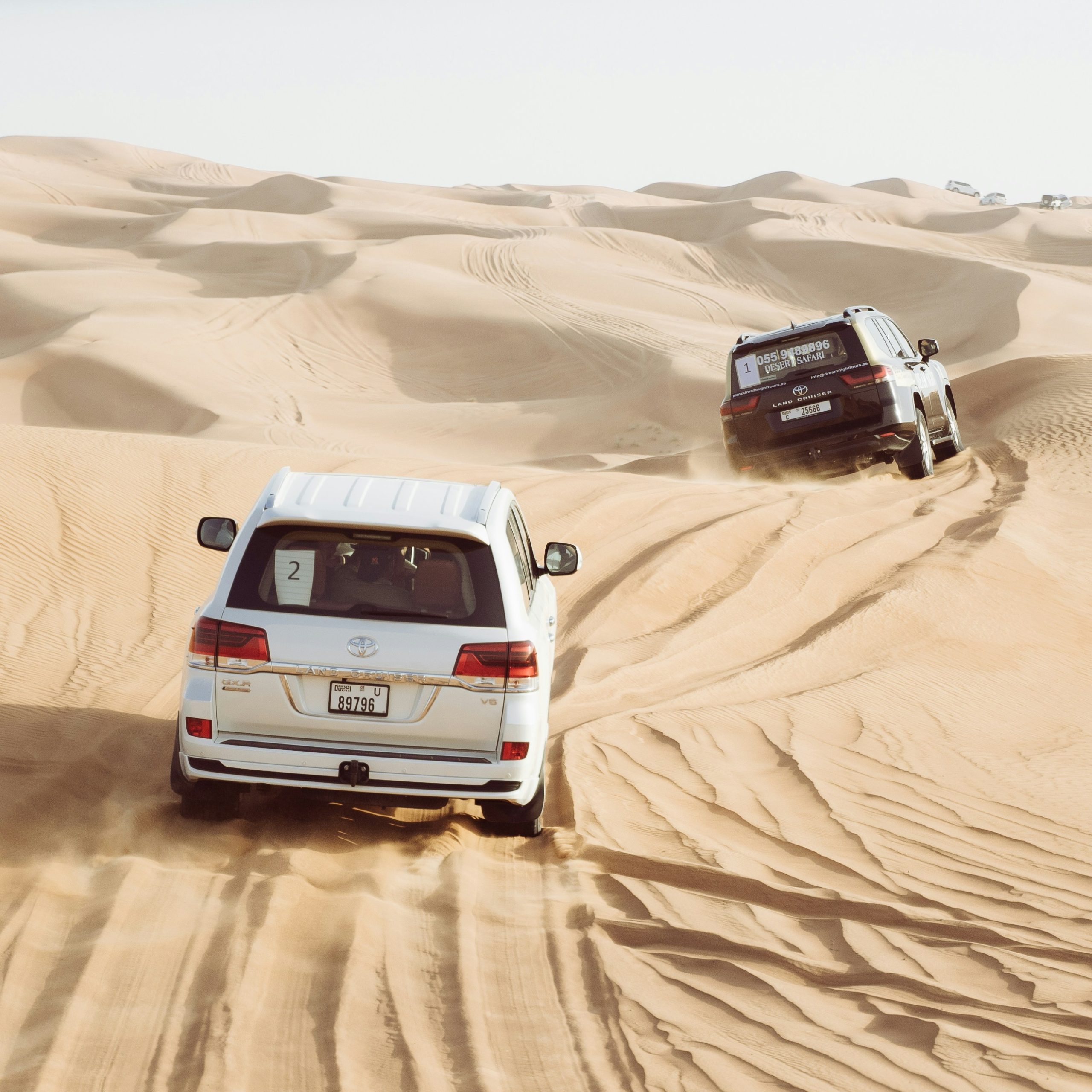 3) Dubai Desert Safari